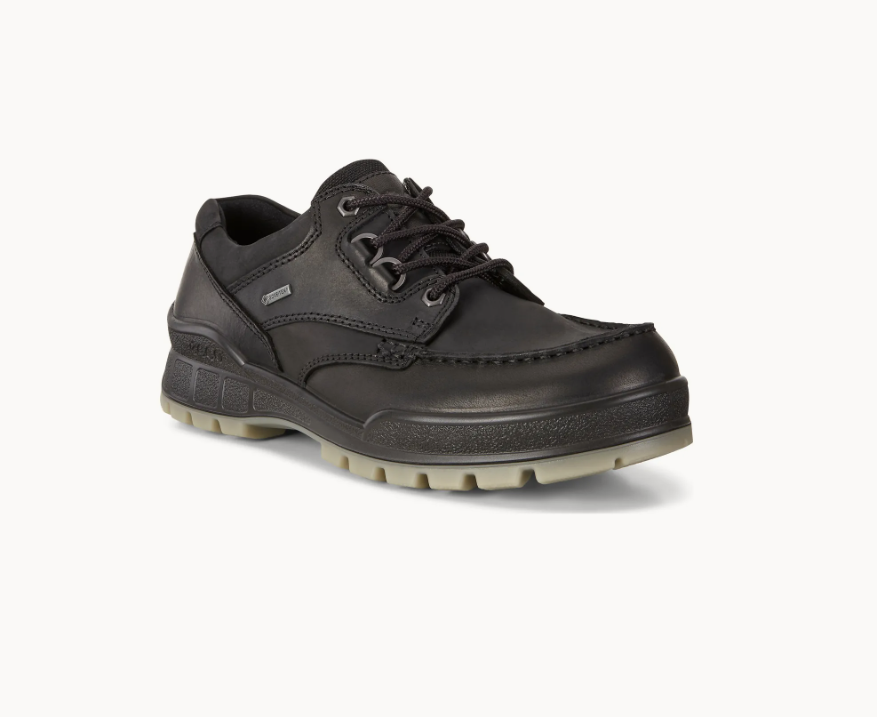 Ecco Track 25 Low Gtx