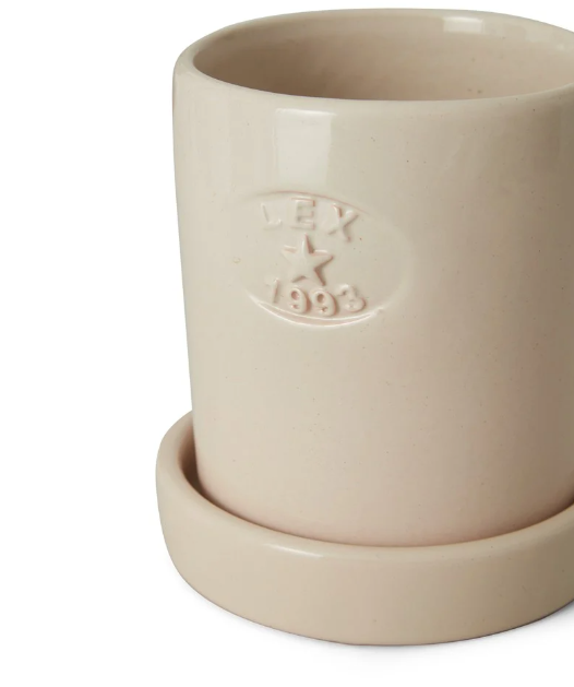 TERRACOTA PLANT POT