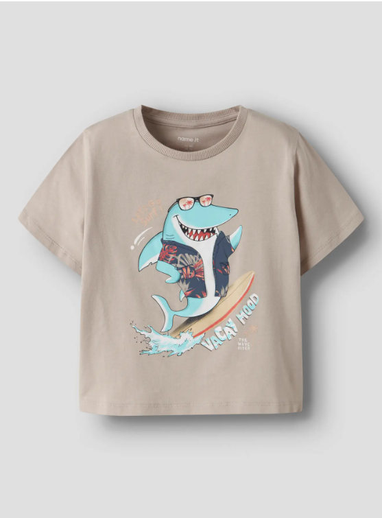 NMMFopz Ss Nreg Top