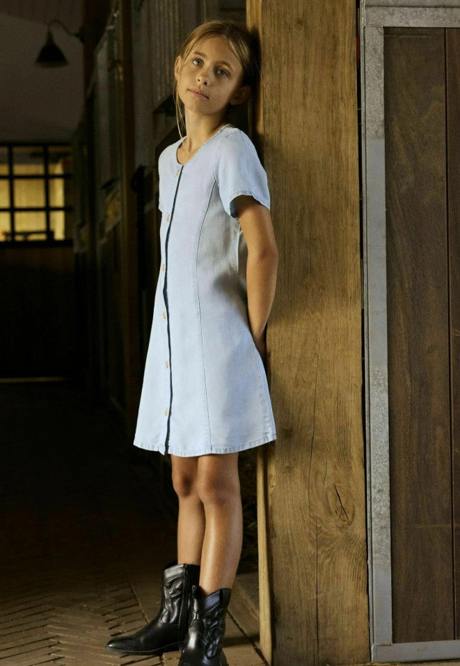 NKFria SS DNM Dress 8004-OH H