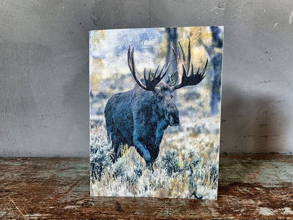KORT M ELG 13X17CM M KONVOLUTT