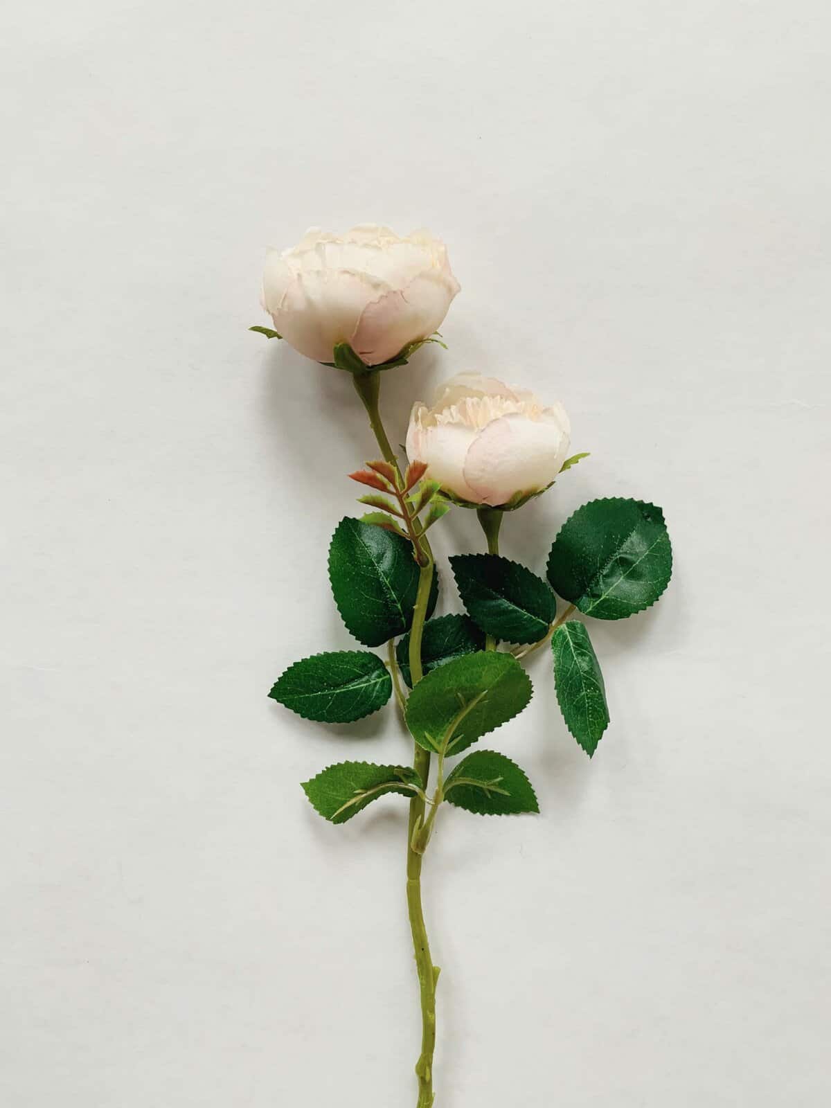 ROSE 46 CM