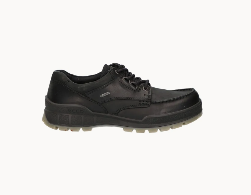 Ecco Track 25 Low Gtx