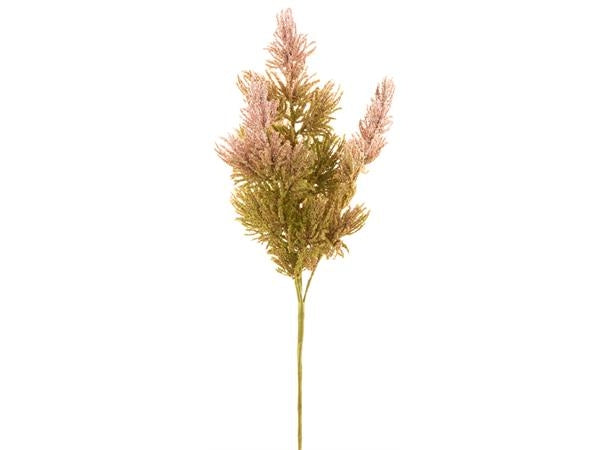 KVIST M ROSA LYNGBLOMST