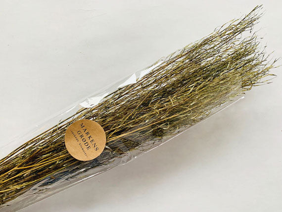TØRKET STRÅ AVANA 85-90CM GRØNN
