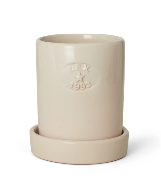 TERRACOTA PLANT POT